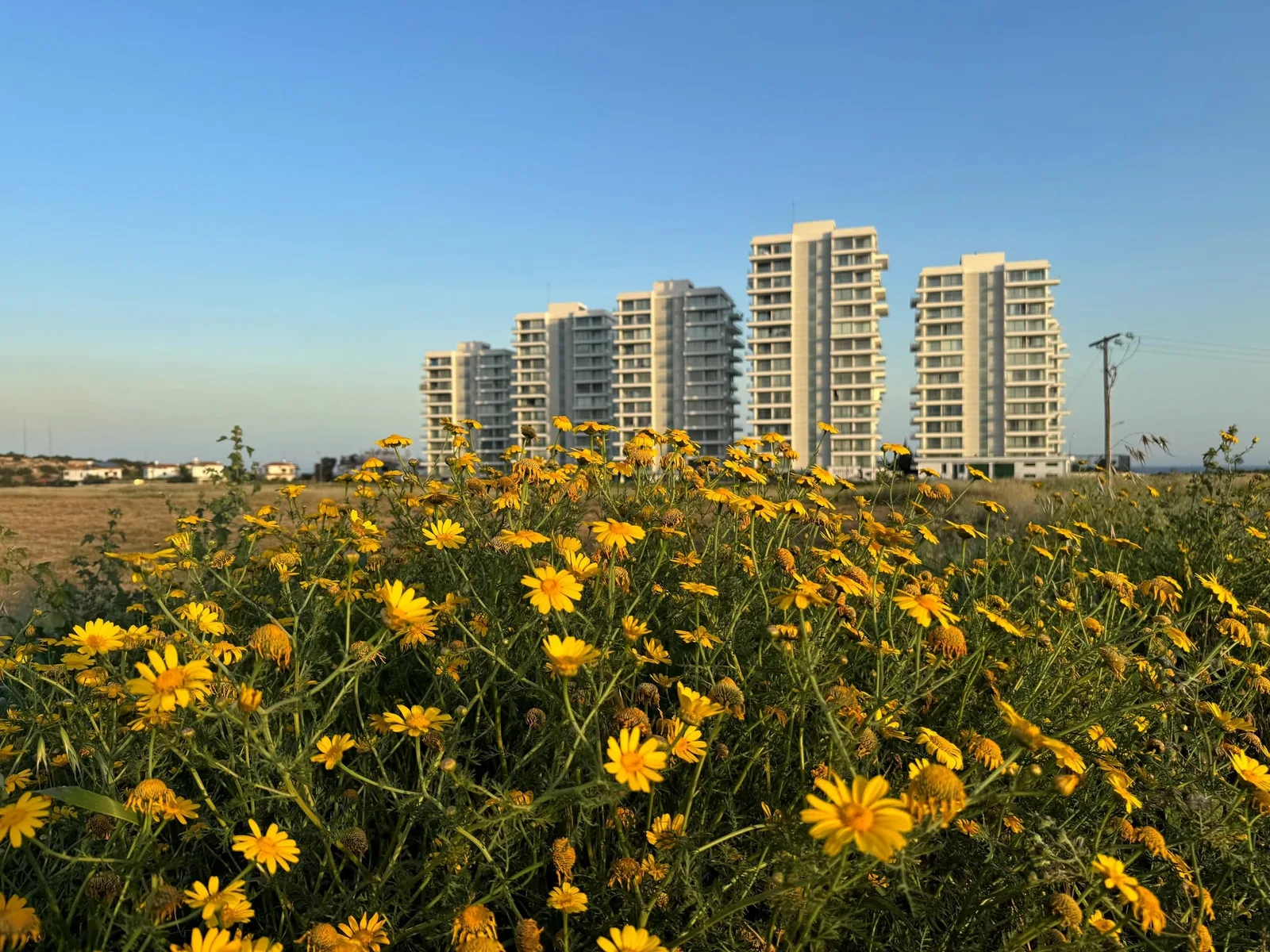 Complex and grounds — Abelia Residence