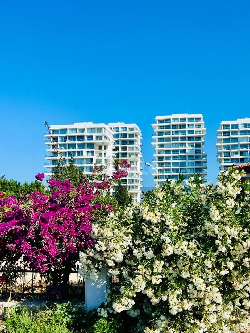Abelia Residence apartment 448909, source photograph 21 of 33